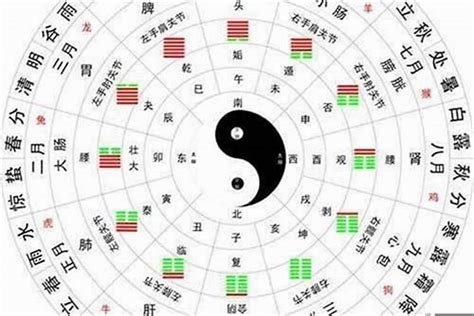 水火土木金|浅析五行中的金到底是什么？